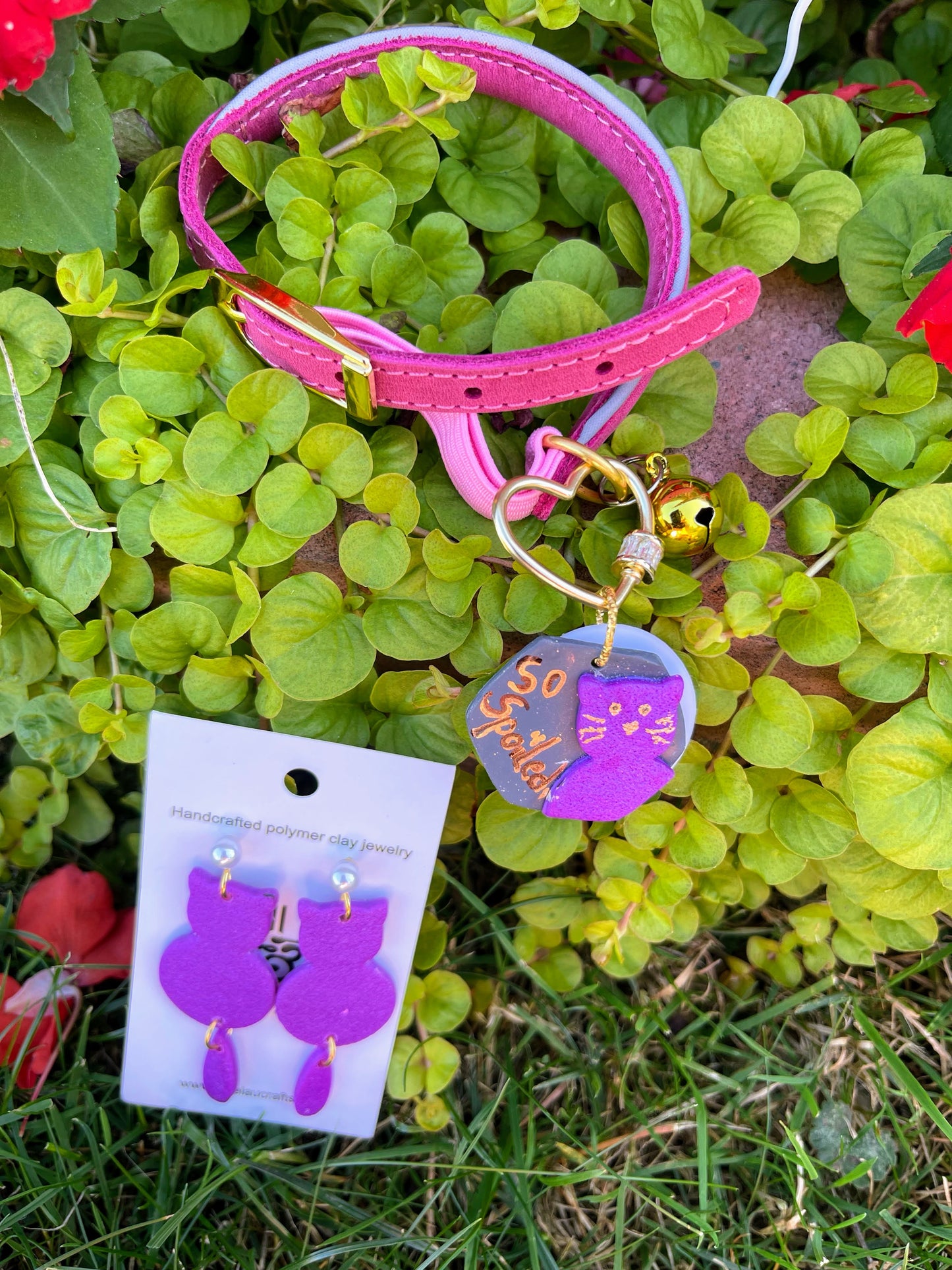 Pet earrings1